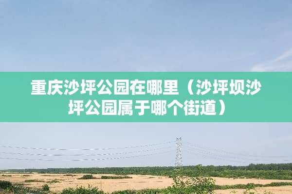 重庆沙坪公园在哪里（沙坪坝沙坪公园属于哪个街道）
