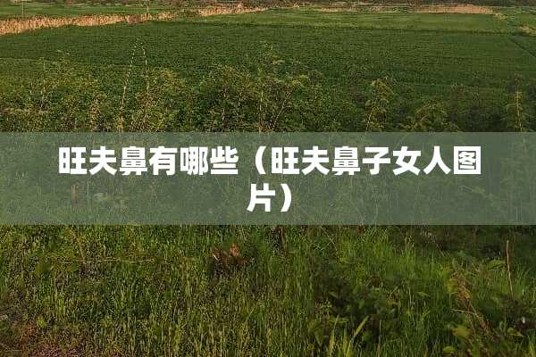 旺夫鼻有哪些（旺夫鼻子女人图片）