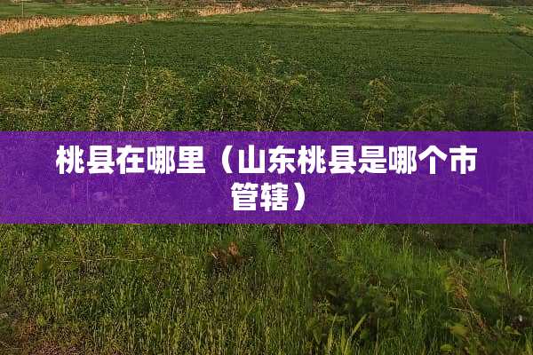 桃县在哪里（山东桃县是哪个市管辖）