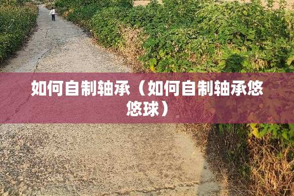 如何自制轴承（如何自制轴承悠悠球）