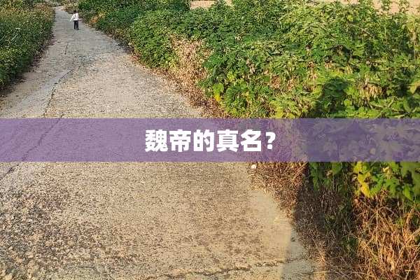 魏帝的真名？