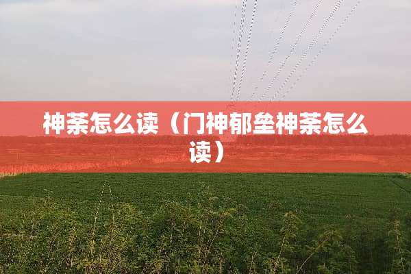 神荼怎么读（门神郁垒神荼怎么读）