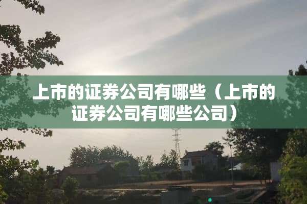 上市的证券公司有哪些（上市的证券公司有哪些公司）