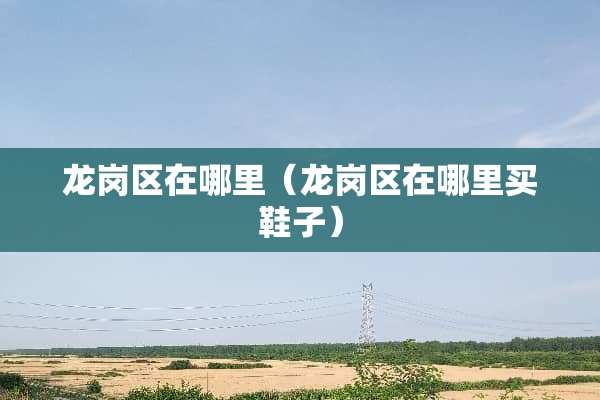 龙岗区在哪里（龙岗区在哪里买鞋子）