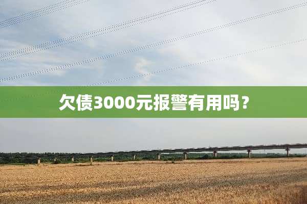 欠债3000元报警有用吗？
