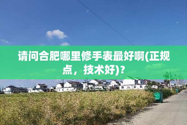 请问合肥哪里修手表最好啊(正规点，技术好)？