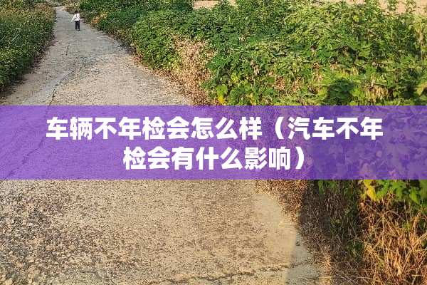 车辆不年检会怎么样（汽车不年检会有什么影响）