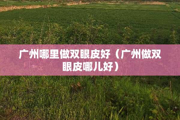 广州哪里做双眼皮好（广州做双眼皮哪儿好）