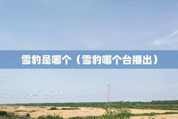 雪豹是哪个（雪豹哪个台播出）