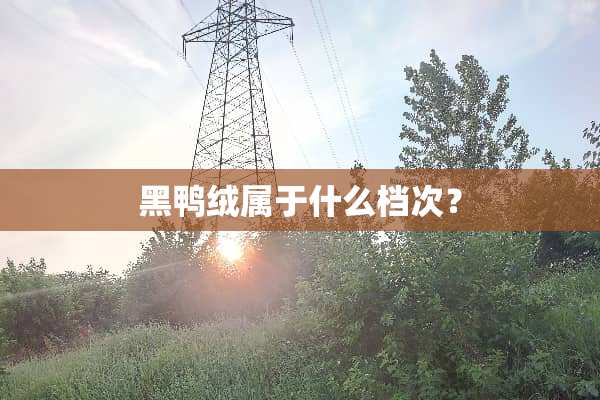 黑鸭绒属于什么档次？
