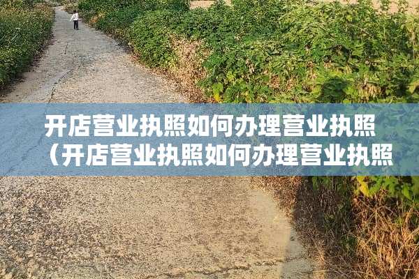 开店营业执照如何办理营业执照（开店营业执照如何办理营业执照业务）