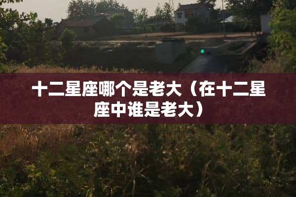 十二星座哪个是老大（在十二星座中谁是老大）