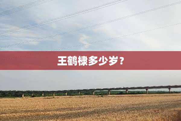 王鹤棣多少岁？