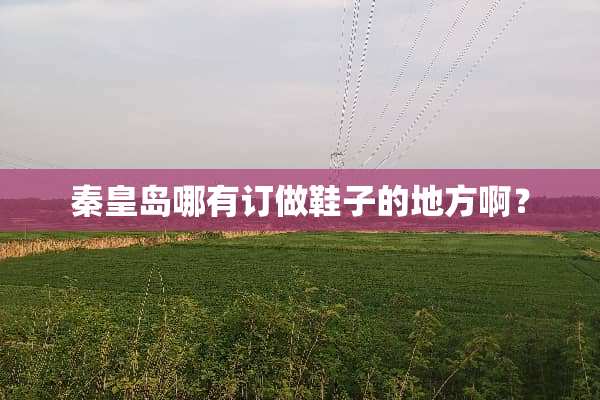秦皇岛哪有订做鞋子的地方啊？