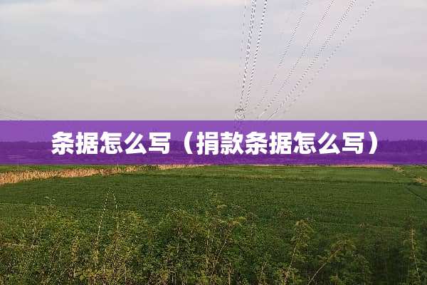 条据怎么写（捐款条据怎么写）