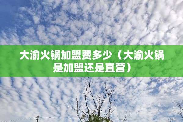 大渝火锅加盟费多少（大渝火锅是加盟还是直营）
