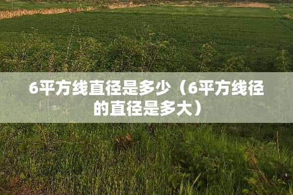 6平方线直径是多少（6平方线径的直径是多大）