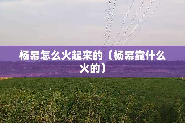 杨幂怎么火起来的（杨幂靠什么火的）