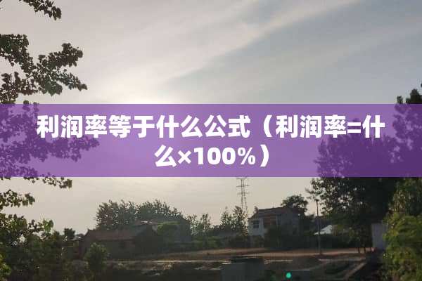 利润率等于什么公式（利润率=什么×100%）