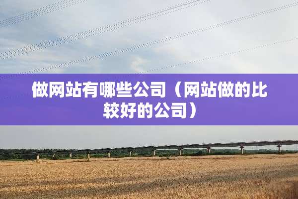 ***有哪些公司（网站做的比较好的公司）