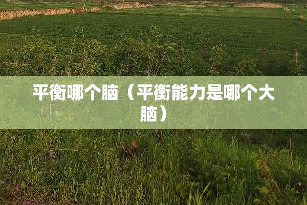平衡哪个脑（平衡能力是哪个大脑）