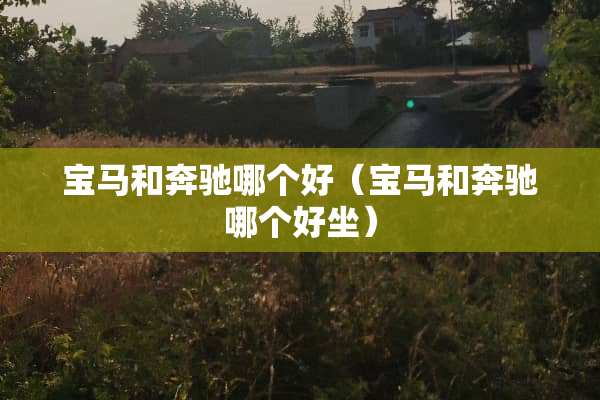 宝马和奔驰哪个好（宝马和奔驰哪个好坐）