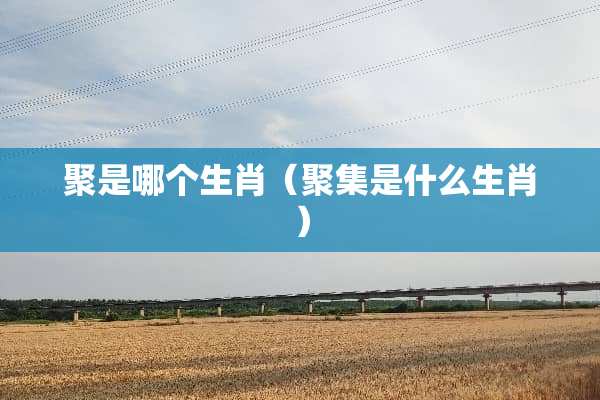 聚是哪个生肖（**是什么生肖）