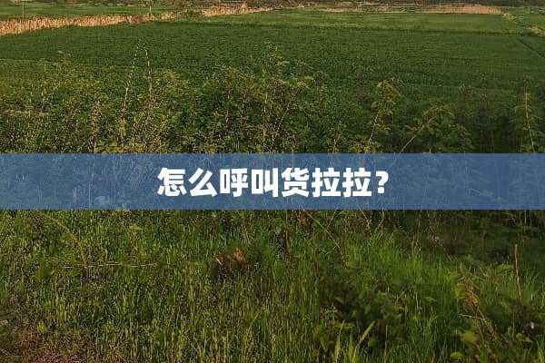 怎么呼叫货拉拉？