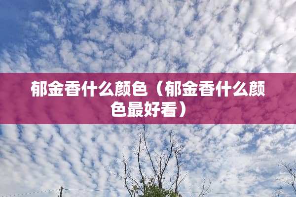 郁金香什么颜色（郁金香什么颜色最好看）