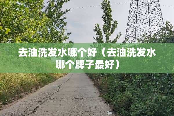 去油洗发水哪个好（去油洗发水哪个牌子最好）