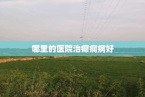 哪里的医院治癫痫病好