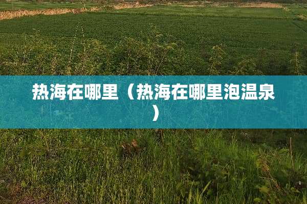 热海在哪里（热海在哪里泡温泉）