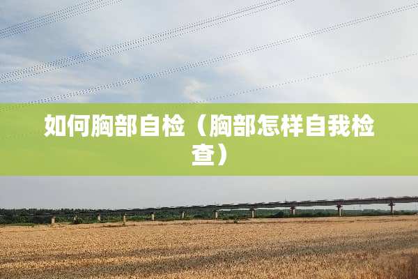 如何**自检（**怎样自我检查）