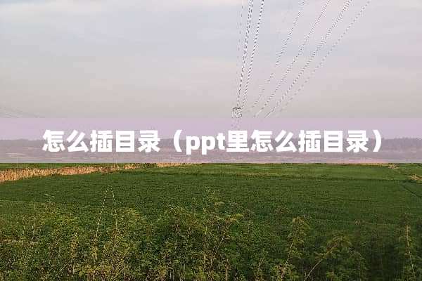 怎么插目录（ppt里怎么插目录）