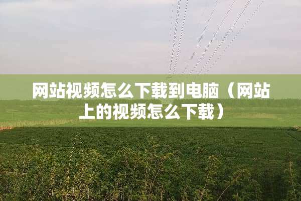 网站视频怎么下载到电脑（网站上的视频怎么下载）