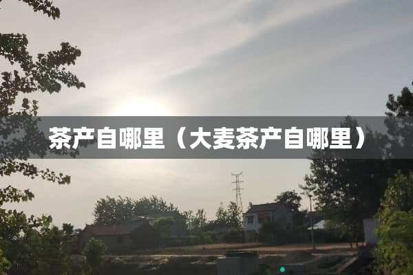 茶产自哪里（大麦茶产自哪里）