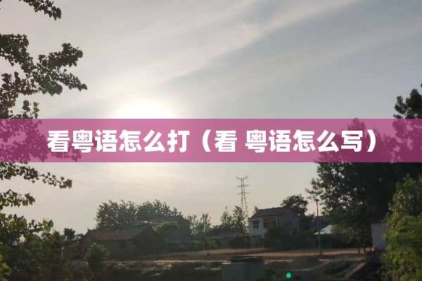 看粤语怎么打（看 粤语怎么写）