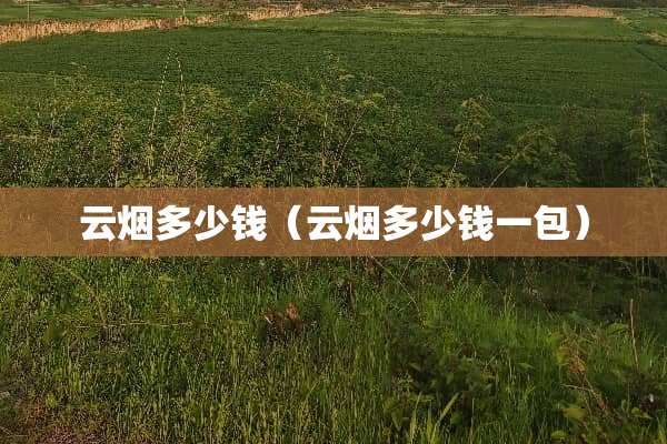 云烟多少钱（云烟多少钱一包）