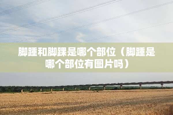 脚踵和脚踝是哪个部位（脚踵是哪个部位有图片吗）