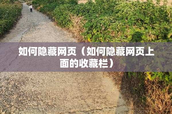 如何隐藏网页（如何隐藏网页上面的收藏栏）