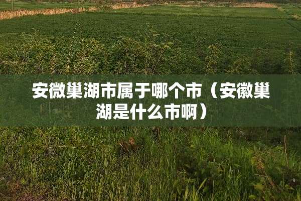 安微巢湖市属于哪个市（安徽巢湖是什么市啊）