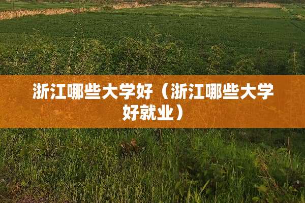 浙江哪些大学好（浙江哪些大学好就业）