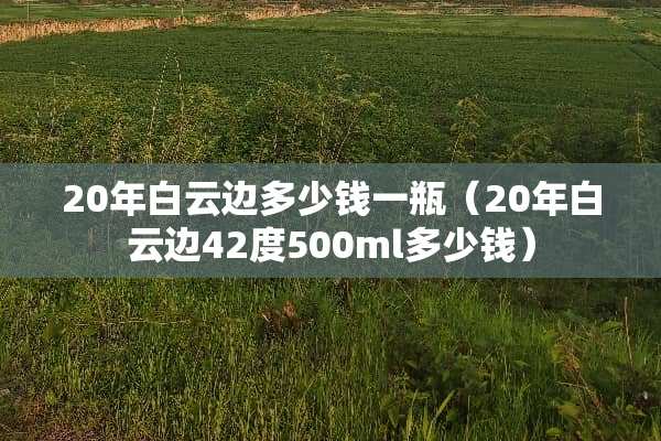 20年白云边多少钱一瓶（20年白云边42度500ml多少钱）