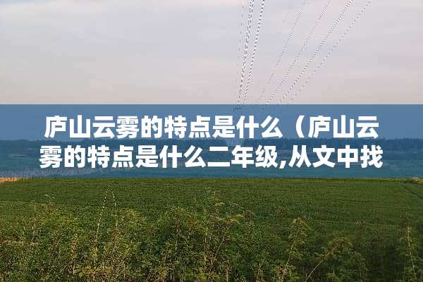 庐山云雾的特点是什么（庐山云雾的特点是什么二年级,从文中找出两个词）
