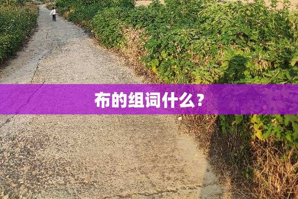 布的组词什么？