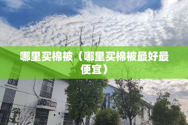 哪里买棉被（哪里买棉被最好最便宜）