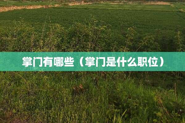 掌门有哪些（掌门是什么职位）