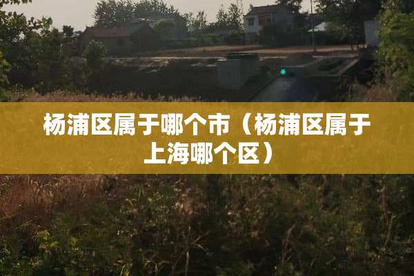杨浦区属于哪个市（杨浦区属于上海哪个区）