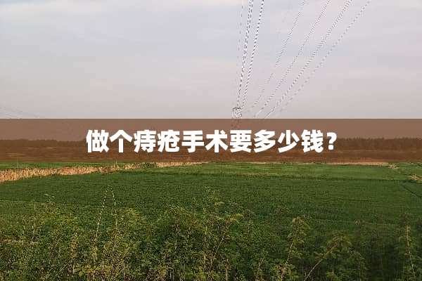 做个痔疮手术要多少钱？
