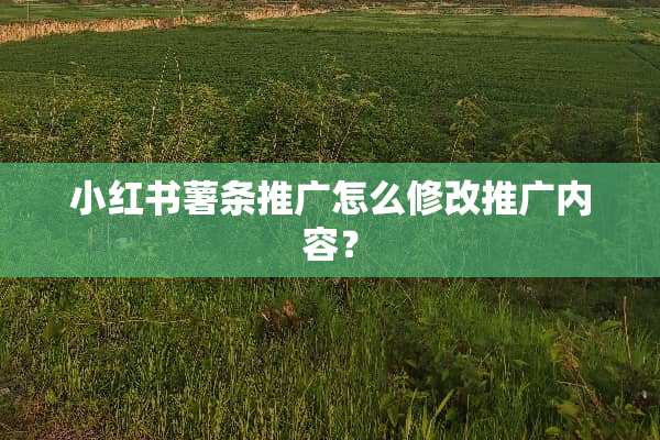 小红书薯条推广怎么修改推广内容？